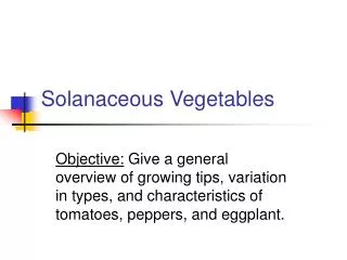 Solanaceous Vegetables