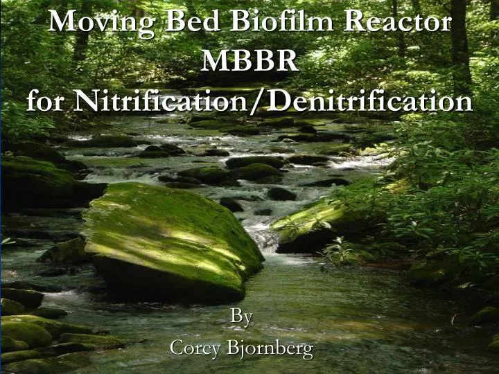 moving bed biofilm reactor mbbr for nitrification denitrification