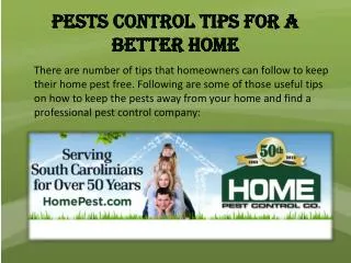 Pests control tips for a better home