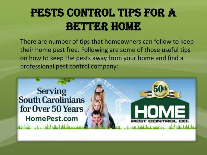 pests control tips for a better home
