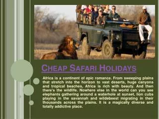 African Safari Holiday