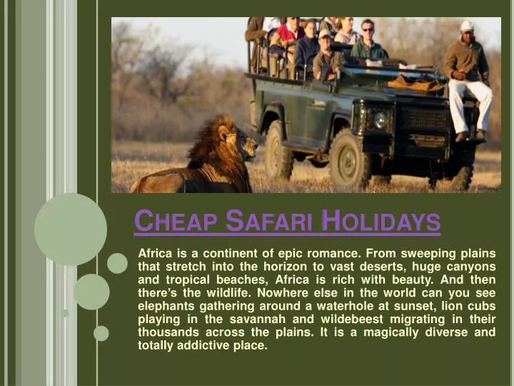 cheap safari holidays