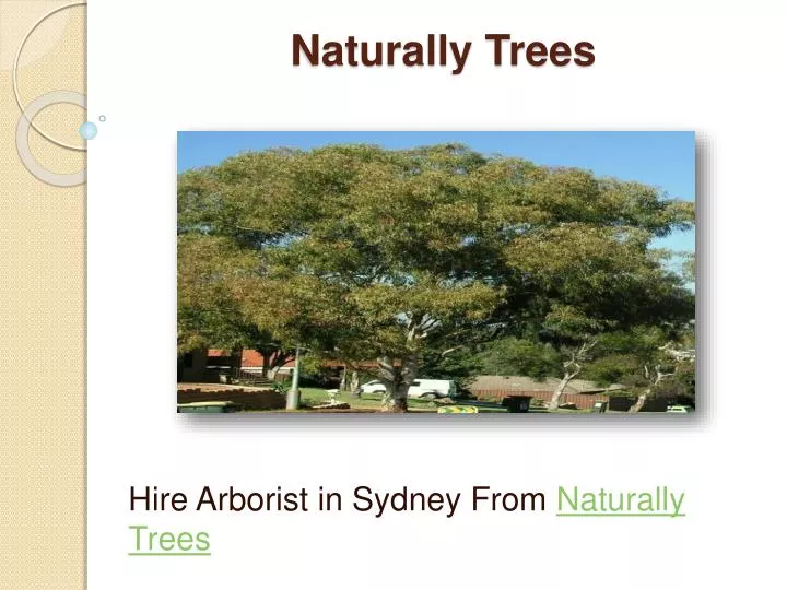 naturally trees