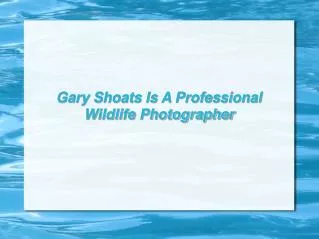 Gary Shoats Is A Professional Wildlife Photographer
