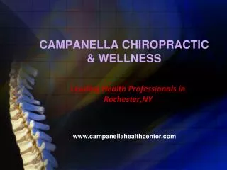 Best Chiropractic Services in Rochester, NY