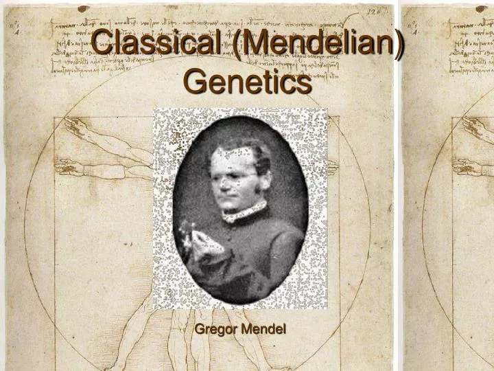 classical mendelian genetics