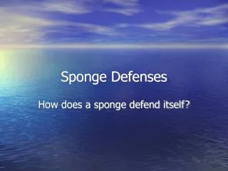 Sponge Defenses