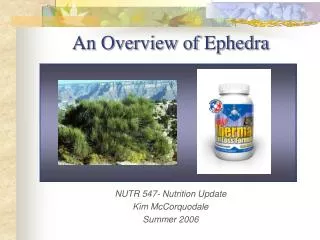An Overview of Ephedra