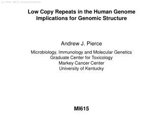 Low Copy Repeats in the Human Genome Implications for Genomic Structure