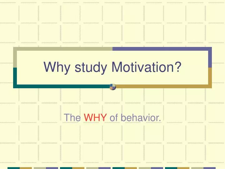 why study motivation