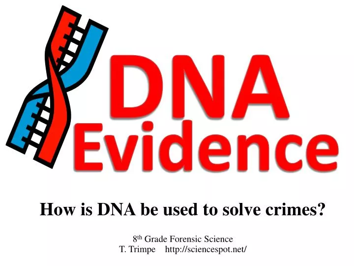 how is dna be used to solve crimes 8 th grade forensic science t trimpe http sciencespot net