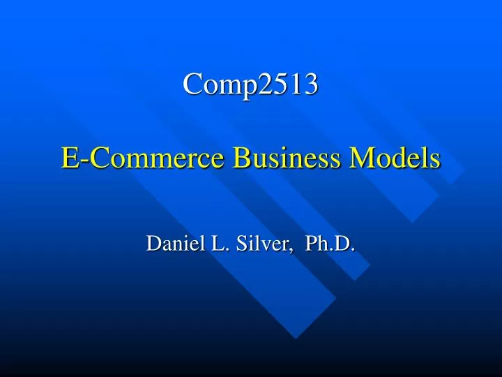 comp2513 e commerce business models