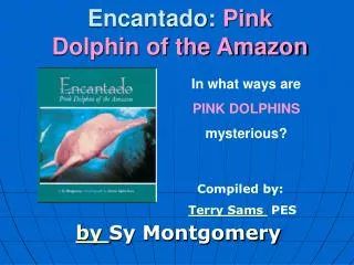 Encantado: Pink Dolphin of the Amazon