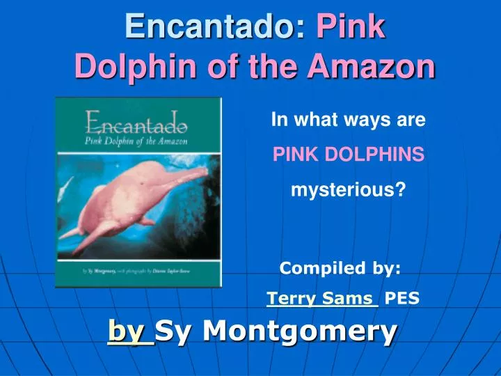 encantado pink dolphin of the amazon