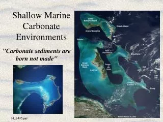Shallow Marine Carbonate Environments