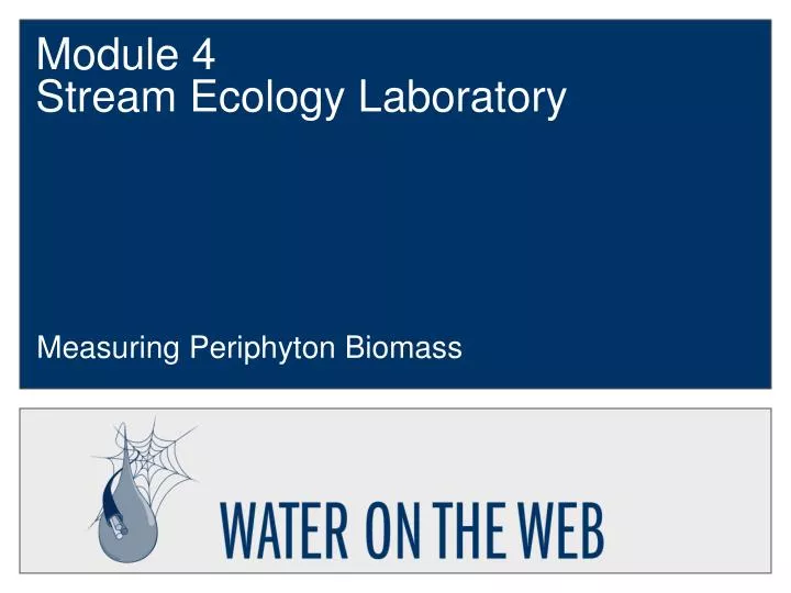 module 4 stream ecology laboratory