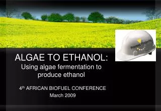 ALGAE TO ETHANOL: Using algae fermentation to produce ethanol