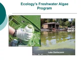 Ecology’s Freshwater Algae Program
