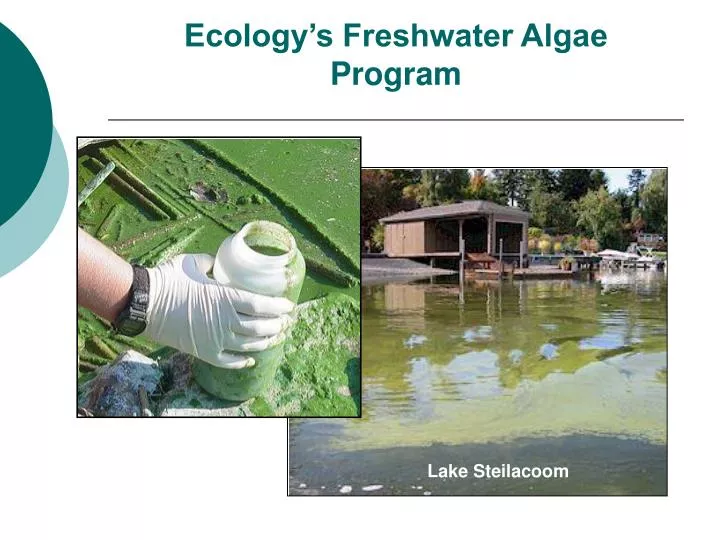 ecology s freshwater algae program