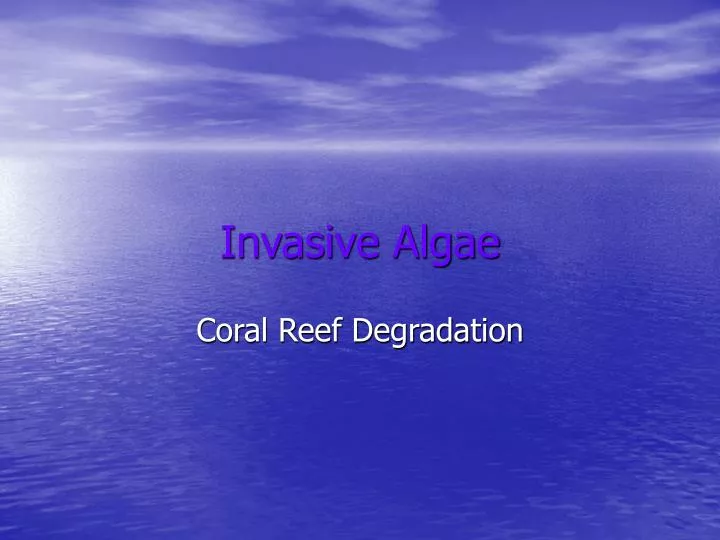 invasive algae