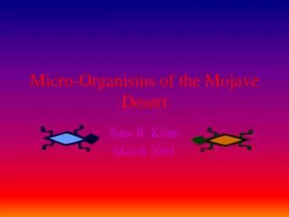 Micro-Organisms of the Mojave Desert