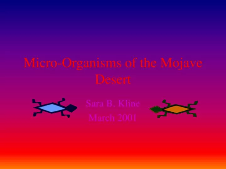 micro organisms of the mojave desert