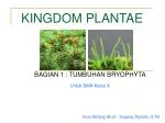 KINGDOM PLANTAE - slide 1