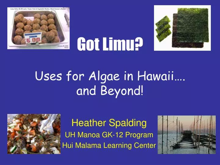 got limu uses for algae in hawaii and beyond