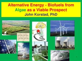 Alternative Energy - Biofuels from Algae as a Viable Prospect John Korstad, PhD