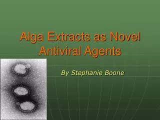 Alga Extracts as Novel Antiviral Agents