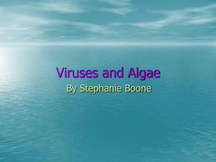 viruses and algae