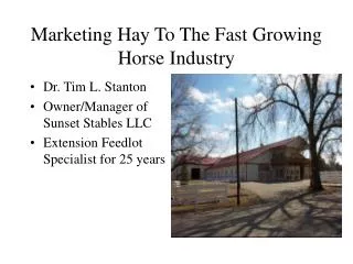 Marketing Hay To The Fast Growing Horse Industry