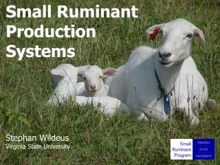 Small Ruminant Production Systems Stephan Wildeus Virginia State University