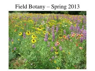 Field Botany – Spring 2013