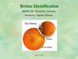 Retina Identification