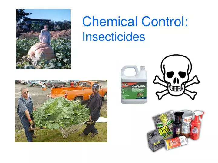 chemical control insecticides