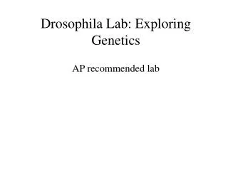 Drosophila Lab: Exploring Genetics