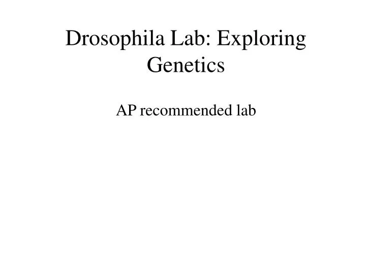 drosophila lab exploring genetics