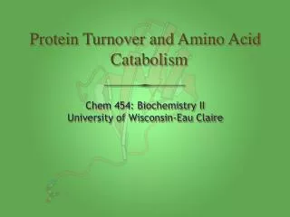 Protein Turnover and Amino Acid Catabolism