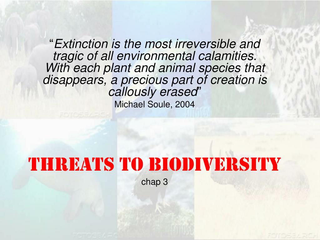 PPT - Threats to Biodiversity chap 3 PowerPoint Presentation, free ...