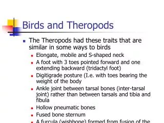 Birds and Theropods
