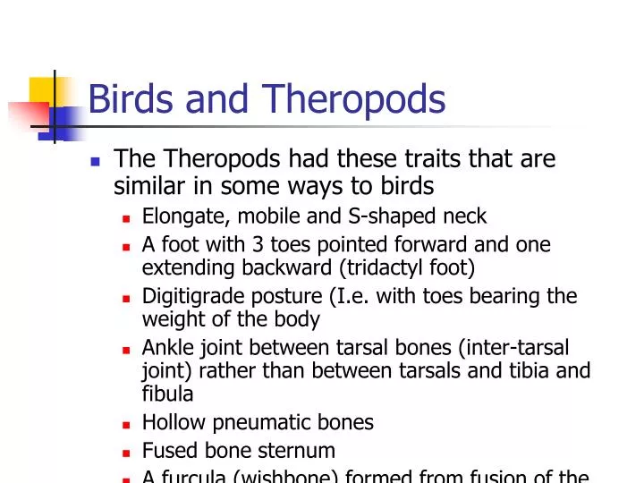 birds and theropods