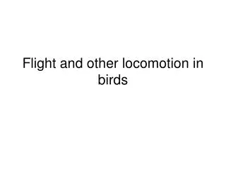 Flight and other locomotion in birds