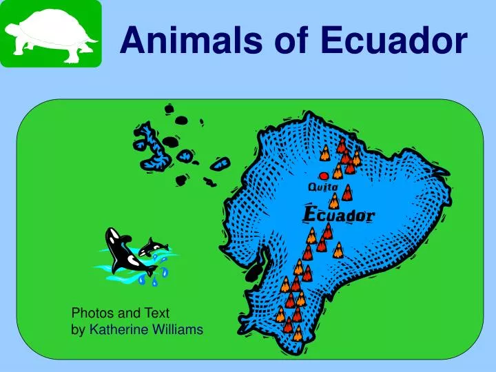 animals of ecuador