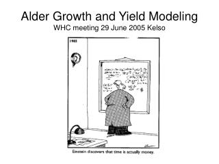 Alder Growth and Yield Modeling WHC meeting 29 June 2005 Kelso