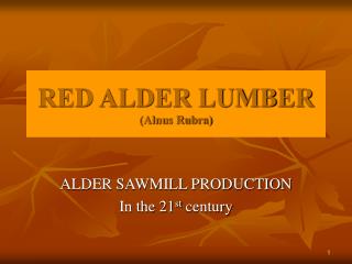 RED ALDER LUMBER (Alnus Rubra)