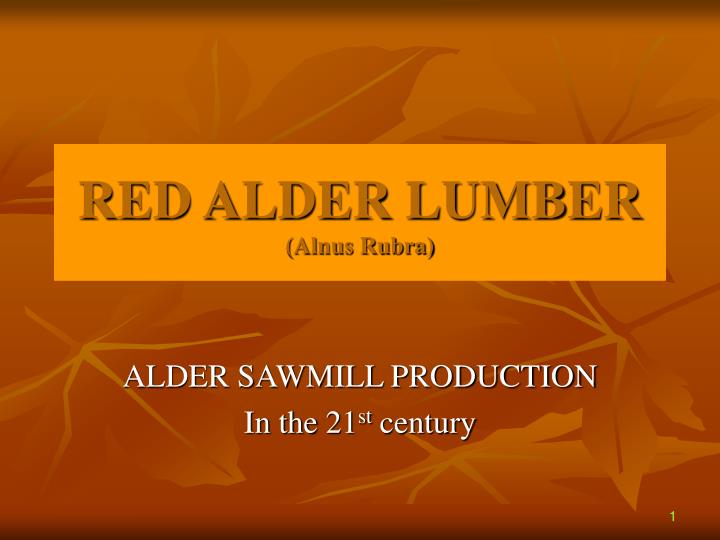 red alder lumber alnus rubra