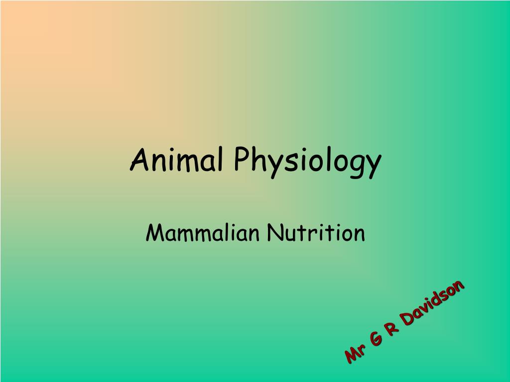 PPT - Animal Physiology PowerPoint Presentation, free download - ID:151541
