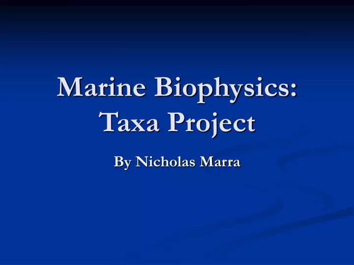 marine biophysics taxa project