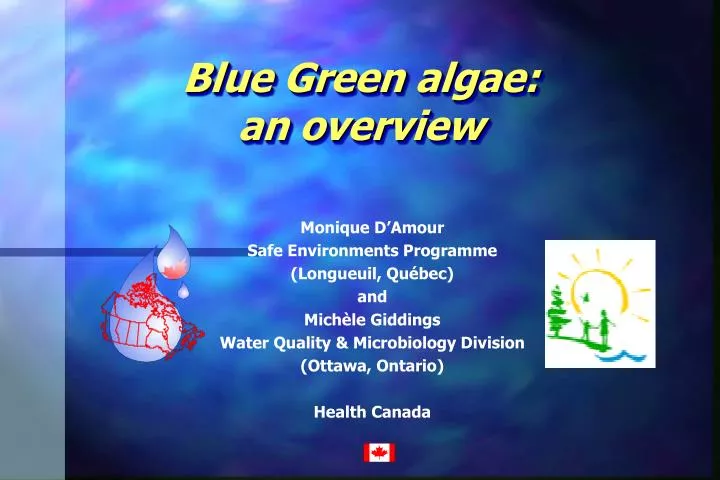 blue green algae an overview